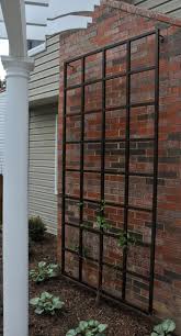 4 X 8 Wall Trellis Diy Garden Trellis Outdoor Trellis Wall Trellis
