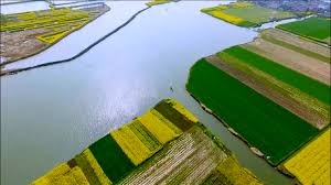 Cgtn documentary online gratis pe net. Chinese Literature Takes Center Stage In New Documentary Series Cgtn