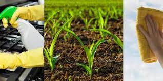 Ammonia Uses And Benefits Chemical Safety Facts