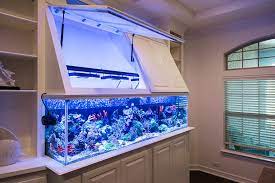 Handmade otah (prawn) now available at tankfully fresh! D2mini S New 200g Reeftastic Build Page 35 Fish Tank Wall Saltwater Fish Tanks Fish Tank