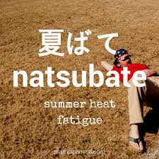13 Words For A Perfect Japanese Summer Japanese Phrases Japanese Language Japanese Quotes