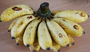 Ya tiga jenis pisang ini yang paling enak bila dibikin keripik pisang, ujar yayuk. Wong Jowo In The Blog Jenis Pohon Pisang Atau Gedang Yang Ada Di Indonesia