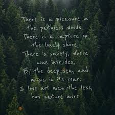 Lord Byron I Love Man Not The Less But Nature More Quotations Travel Quotes Words