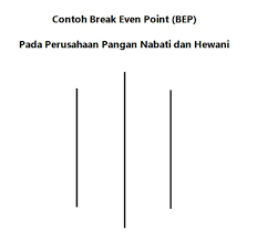 Contoh Break Even Point Bep Pada Perusahaan Pangan Nabati Dan Hewani
