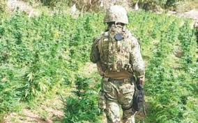 Mapas, fotos y estadísticas de fondo, un pueblo de gran tamaño precioso de 916 habitantes del estado de méxico. Gobierno De Biden Mantiene Fondos Antinarcos Pendientes El Sol De Mexico Noticias Deportes Gossip Columnas