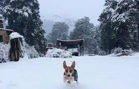 Sa storm report on twitter the south african weather service (saws) has warned of two winter systems that will affect the country into the weekend. In Pictures First Snow Of The Season Arrives In South Africa