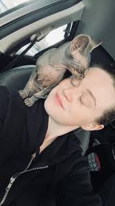 Introduction of new Sphynx kitten Sabel to the community