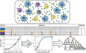 A mutation is a change that occurs in our dna sequence, either due to mistakes when the dna is copied or as the result of environmental factors such as uv light and cigarette smoke. Benchmarking Tree And Ancestral Sequence Inference For B Cell Receptor Sequences Biorxiv