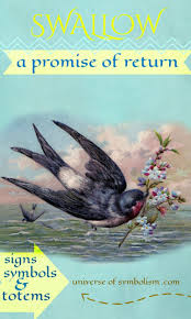 Symbolism Birds And Their Meanings Swallow Spirit Animal An Enduring Symbol Of A Promise To Return A Sweet And Acrobatic Bird With The Heart Swallow Symbolism Meaning Of Swallow Animal Totems