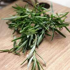 The Best Essential Oil Recipe For Headaches Rosemary Plant Rosemary Plant Care Prune Rosemary
