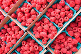 Find photos of red raspberries. Raspberry Plant And Fruit Britannica