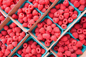 Taking care of red raspberries is a small chore but worth it to be blessed with an abundance of juicy fruit. Raspberry Plant And Fruit Britannica