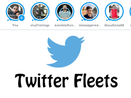 Check spelling or type a new query. Twitter New Update Brings Twitter Fleets Ig Stories Copycat Techburner