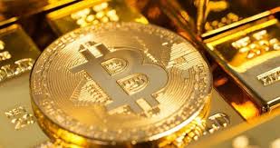Another interesting development seen in 2020 was the push by some corporate treasuries to allocate a portion of their cash balances to bitcoin. Bitcoin Price Will Be Golden In 2020 Thanks To Limited Supply Use Will Increase Bloomberg Reports Best Information Today