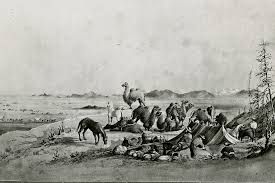 Tent camping is a beloved tradition in oregon. Soldiers Hump The Southwest With Camels