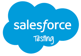 Salesforce Testing Tutorial What Process Tools Best Practices