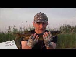 36,043 likes · 823 talking about this. Natura Si Aventura Pescuit In Inima Deltei La Holbina Partea A 2 A Youtube