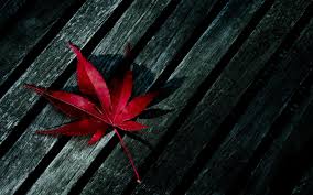 Check spelling or type a new query. 4k Marijuana Wallpapers Top Free 4k Marijuana Backgrounds Wallpaperaccess