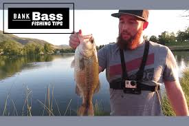 Bob downey shares his top 5 baits and rod setups for catching bass off docks anywhere and anytime throughout the country. The 10 Best Bass Lures For Shore Fishing Tilt Fishing