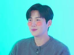 Heres how to meet Kim Seon Ho on TikTok - Preen