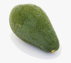 Food Plant Winter Gourd And Melon Family Produce Gourd Hd Png Download Kindpng Winter melon png collections download alot of images for winter melon download free with high quality for designers. kindpng