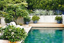 5 Top Pool Design Tips Backyard Pool Pool Landscaping Small Pool Design