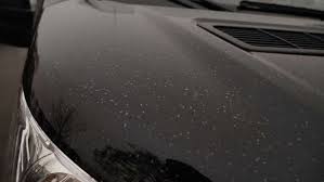 Von 8 bis 18 uhr können wählerinnen und wähler im land ihre stimme in ihrem lokalen wahlraum abgeben oder per briefwahl wählen. Wetterphanomen In Baden Wurttemberg Saharastaub Rieselt Auf Stuttgarts Autos Herab Stuttgart Stuttgarter Nachrichten