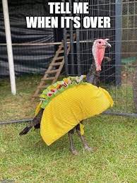 Thanksgiving Humor Funny Thanksgiving Clean Memes What Do You Meme
