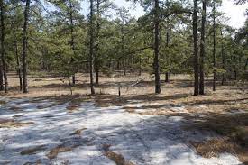 We did not find results for: Wharton State Forest Atsion To Quaker Bridge Loop Njhiking Com