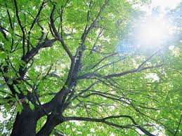 Σταύρος Κούστας: Υπέροχες εικόνες.Εντυπωσιακά ηλιόλουστα τοπία