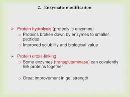 It is the chemical modification of protein after its translation. Functional Properties Of Proteins Ppt Download