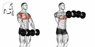 Eine imponierende brust erfordert harte arbeit, disziplin, richtige ernährung und training. Pectoralis Major Wie Sollten Wir Unsere Brust Trainieren Gannikus De