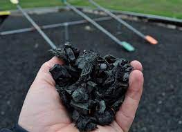 Is There A Perfect Type Of Mulch For A Dog