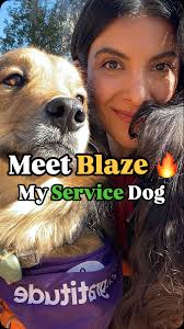 Meet Blaze, my brilliant service dog and shot gun rider 🐾 jk