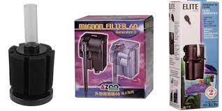 Do Betta Fish Need A Filter Bettafish Org