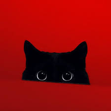 Black And Red Cat Delightfully Manic Cat Love Cats And Kittens Cat Art