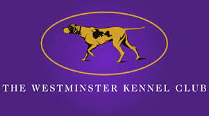 The westminster kennel club dog show is a yearly event that features nearly 3,000 dogs. Westminster Kennel Club Dog Show 2021 Madison Square Garden Manhattan June 12 To June 14 Allevents In