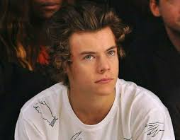 the mojo dojo casa house of my obsessions — BIG BOSS