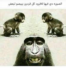 pin by hero on funnyنكات مضحكه و ميمز و كومكس movie quotes funny otaku funny funny dude