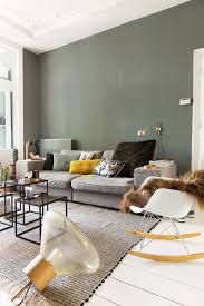 Benedenwoning Haags Herenhuis Vtwonen Couleur Salon Deco Salon Deco Maison