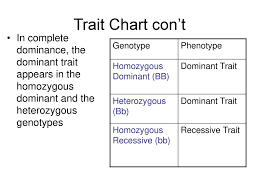 Solving Punnett Squares Ppt Download