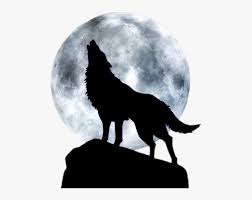 Wolves howling at the moon. Dog Arctic Wolf Three Wolf Moon T Shirt Wolf Howling At The Moon Png Transparent Png Transparent Png Image Pngitem