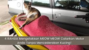 Petua elak kucing buang air di kawasan rumah. Cara Paling Berkesan Mengelakkan Kucing Calarkan Kerusi Motosikal Anda Ebidmotor Com