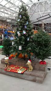 Pin By Kathy Collins On Garden Retail Displays Garden Center Displays Christmas Display Garden Shop