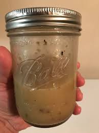 House Italian Dressing 3 4 Cup Of Olive Oil I Used Light 1 4 Cup Of Vinegar I Used Red Wine 1 Teaspoon Of Ma Stuffed Peppers Italian Dressing Primal Paleo