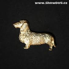 Image result for jezevčík drsnosrstý