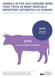 The News Hog Meat With A Side Of Antibiotics Hobby Farms Farm Animals Farm Animal Birthday Farm Animals Birthday Party