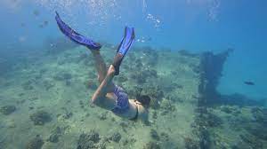 Get to know microsoft researchers and engineers who are tackling complex problems across a wide range of disciplines. Electric Beach Snorkeling Hawaii Beaches Things To Do In Hawaii