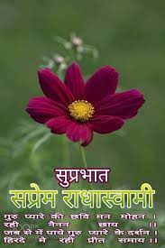 Pin By Harsh Rohra On Radhasoami Plants