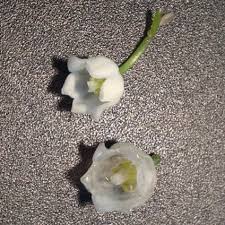 Preserve special wedding memories, make home décor and holiday decorations. How To Make Polyresin Coated Real Flowers